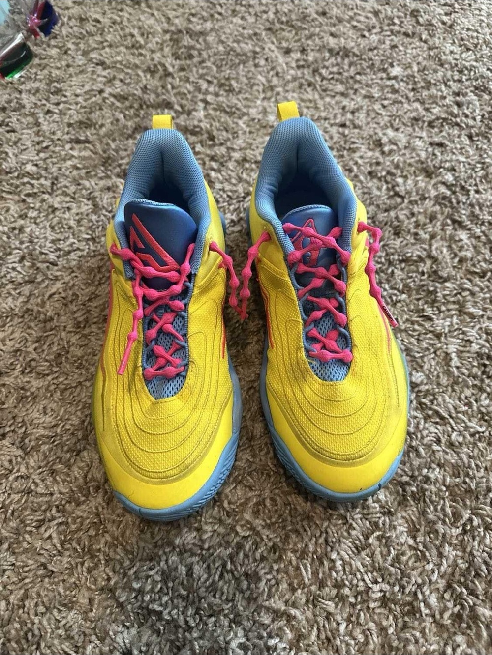Nike Giannis basketball shoes